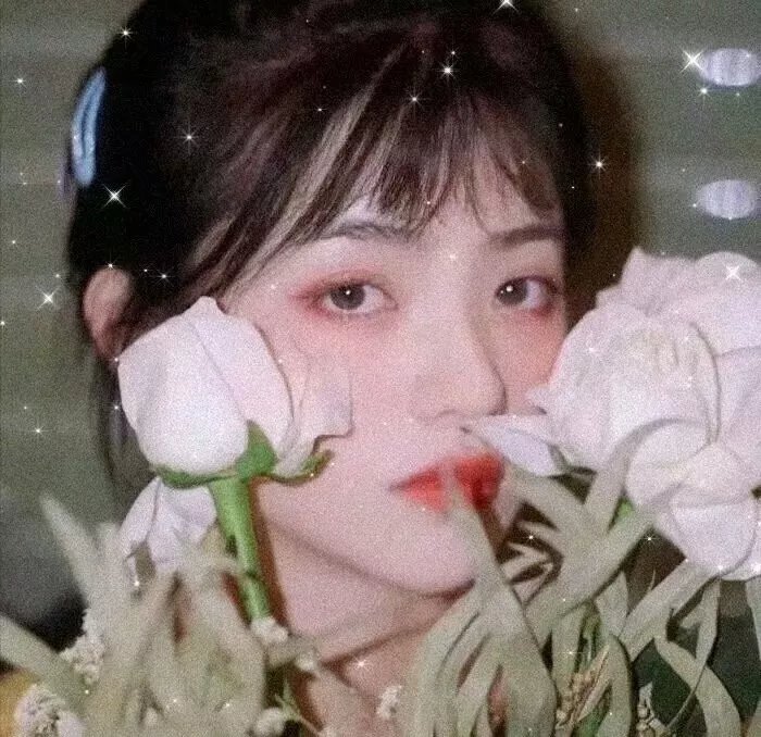 愿赌服输