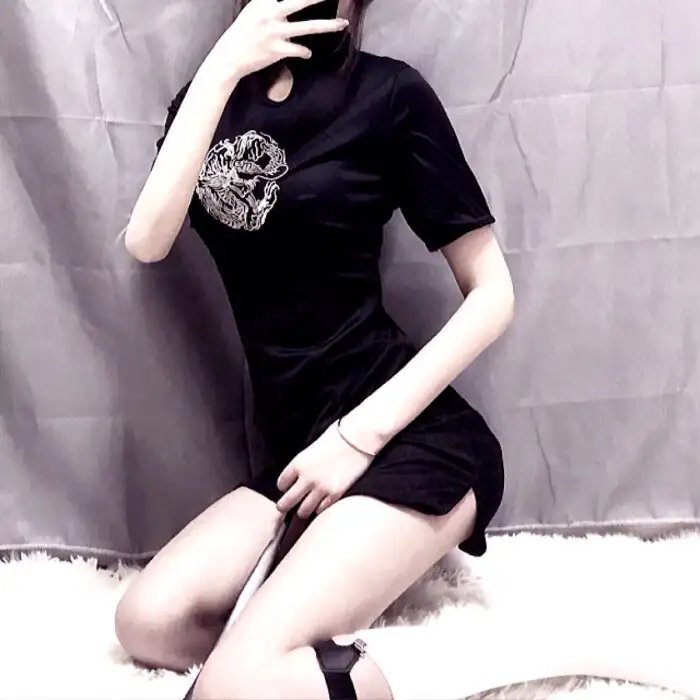 霹雳皇龙纪